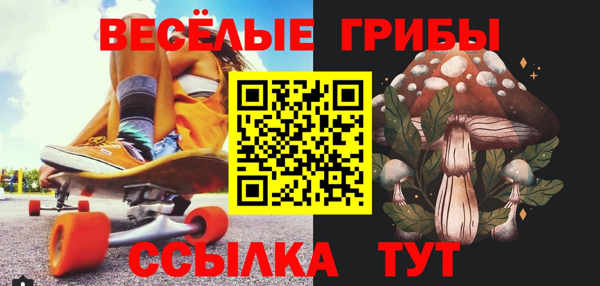 Коркино  Галлюциногенные грибы Psilocybe  Вход с VPN 